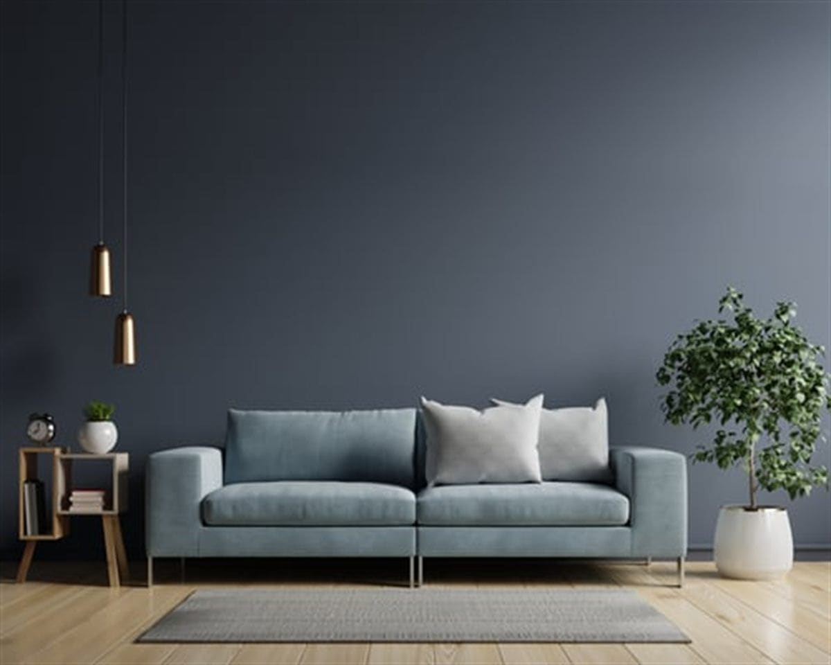 Interior room with a freshly painted feature wall and natural light